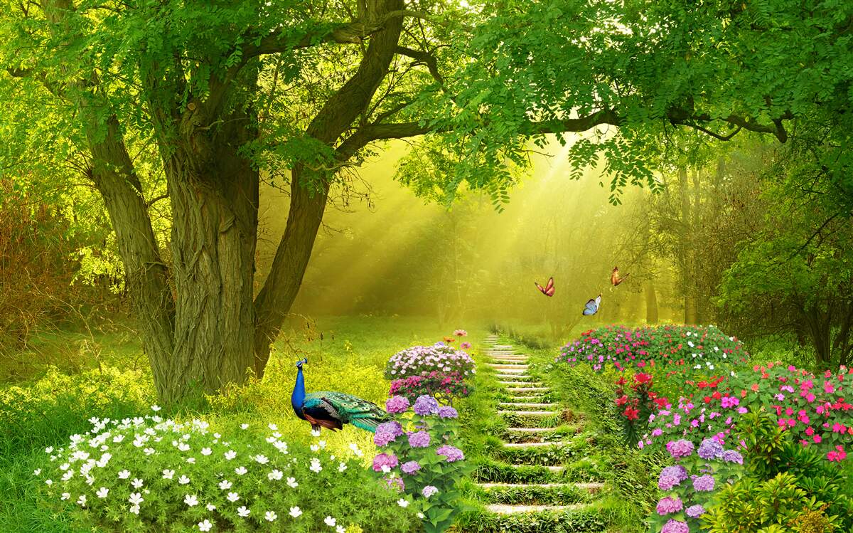 Фотошпалери сонячні промені зігрівають ліс, оповитий нічним туманом