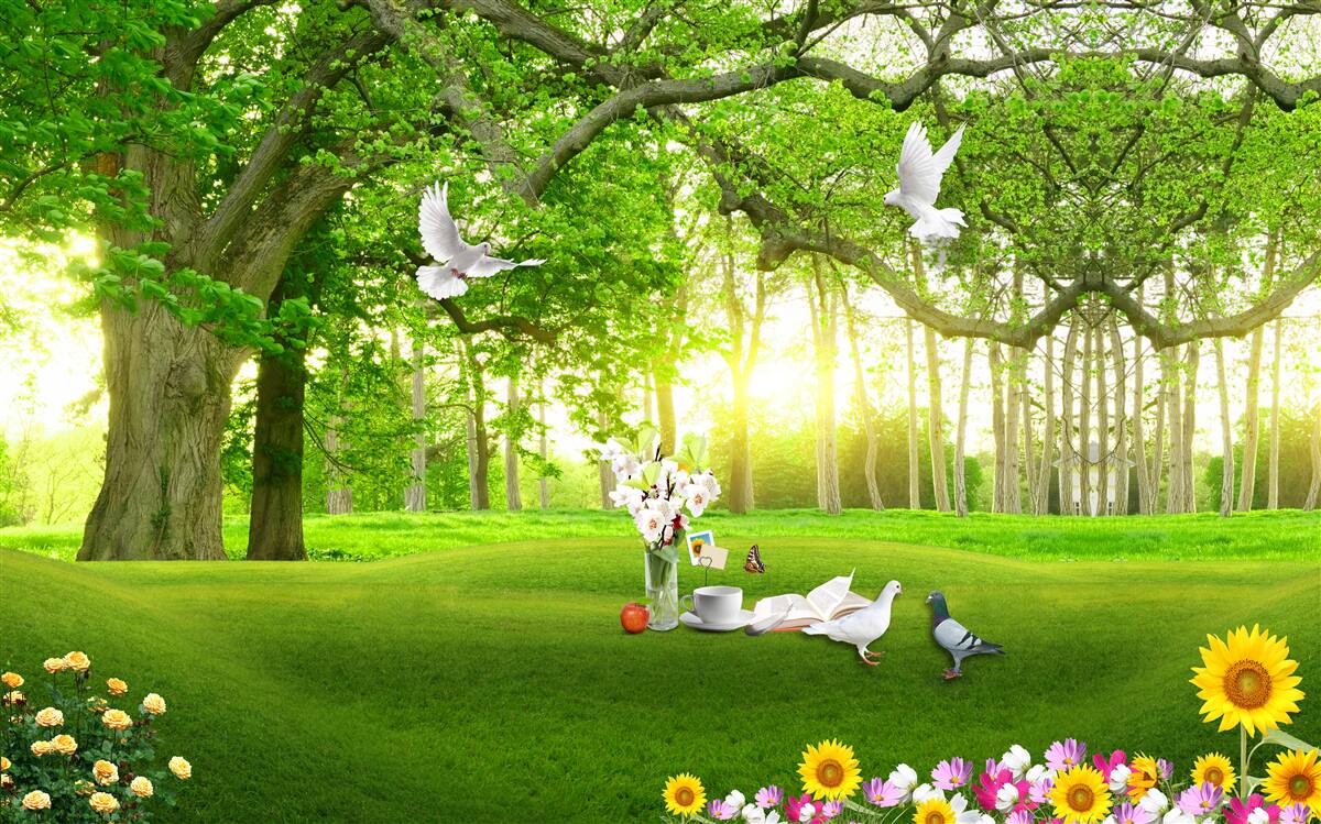 Фотошпалери тиха зелена галявина на світанку