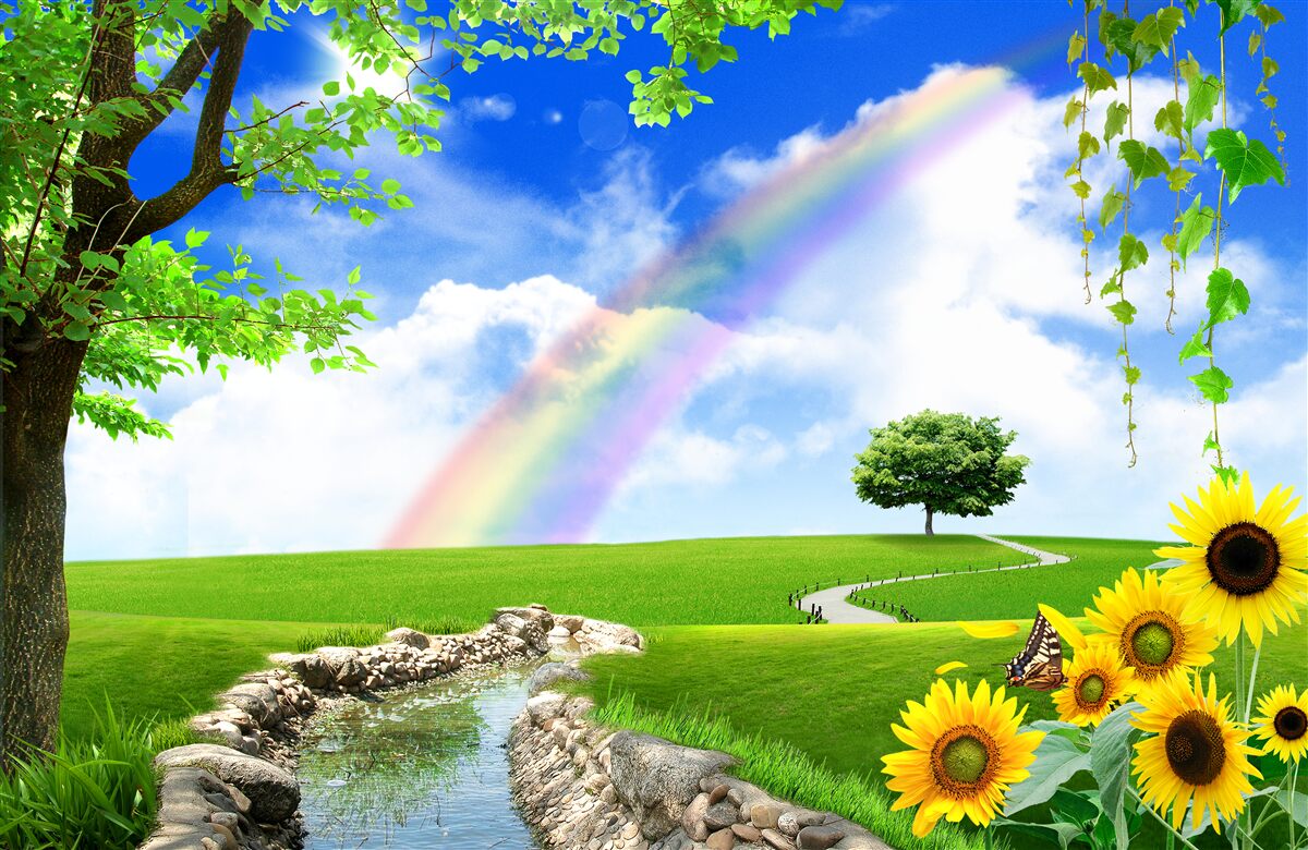 Фотошпалери кольорове сяйво над зеленою галявиною