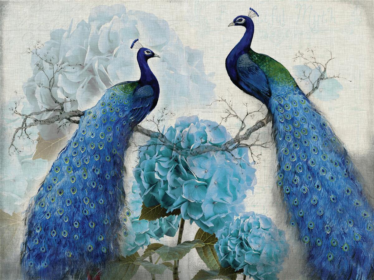 Фотошпалери павичі з блакитним пір'ям на квітах того ж відтінку