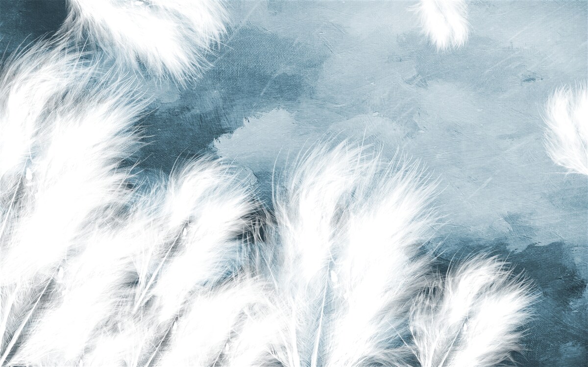 Фотошпалери дикий цукровий ажіотаж