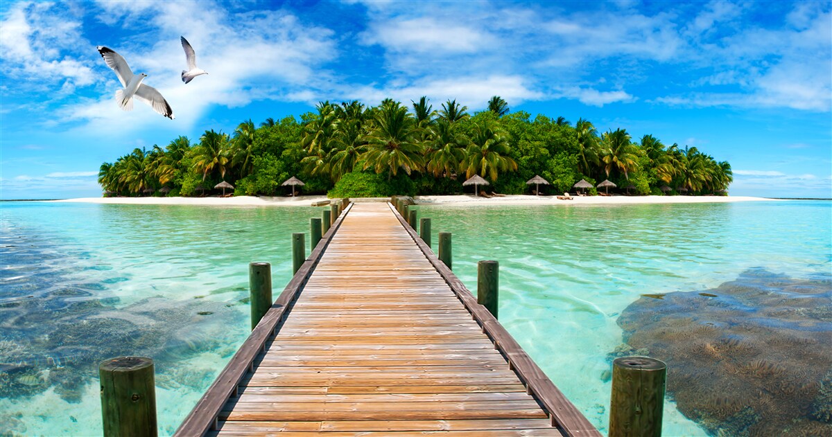 Фотошпалери дорога на тропічний острів