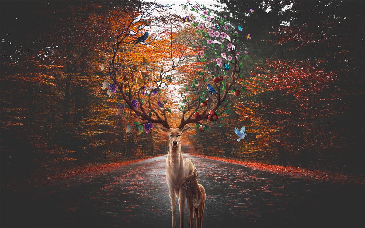 Фотошпалери осінній період та ідеальні роги дорослих оленів