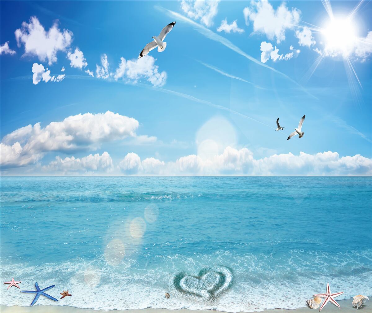 Фотошпалери чайки над синіми хвилями