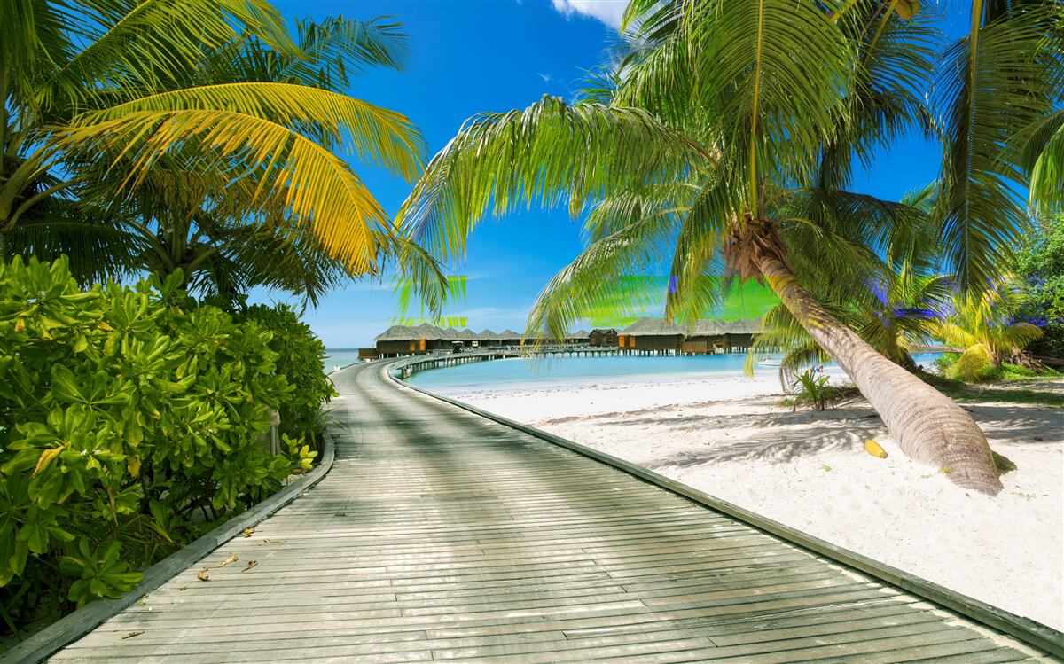 Фотошпалери Стежка до приморських котеджів