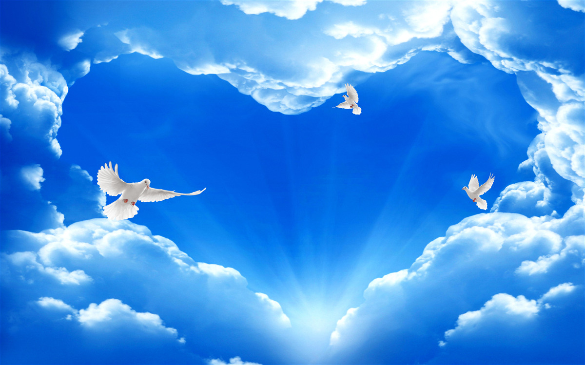 Фотошпалери сині птахи злітають у небо