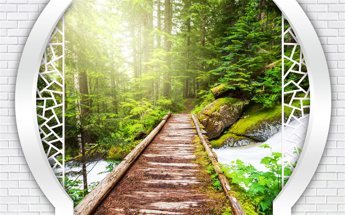 Фотошпалери Гірська стежка, що проходить через густий ліс
