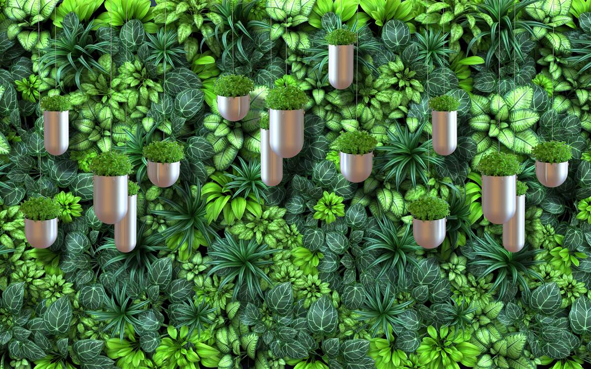 Фотошпалери колір зелений і рослини в горщику