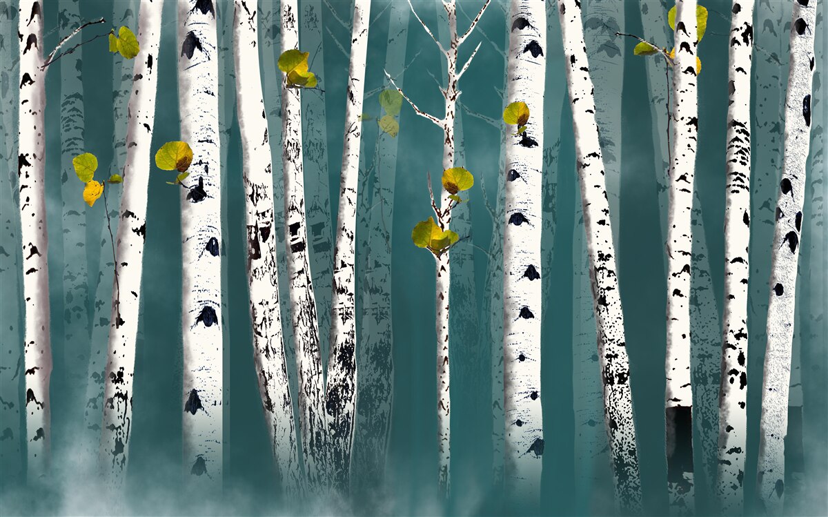 Фотошпалери берези були оповиті туманною пеленою