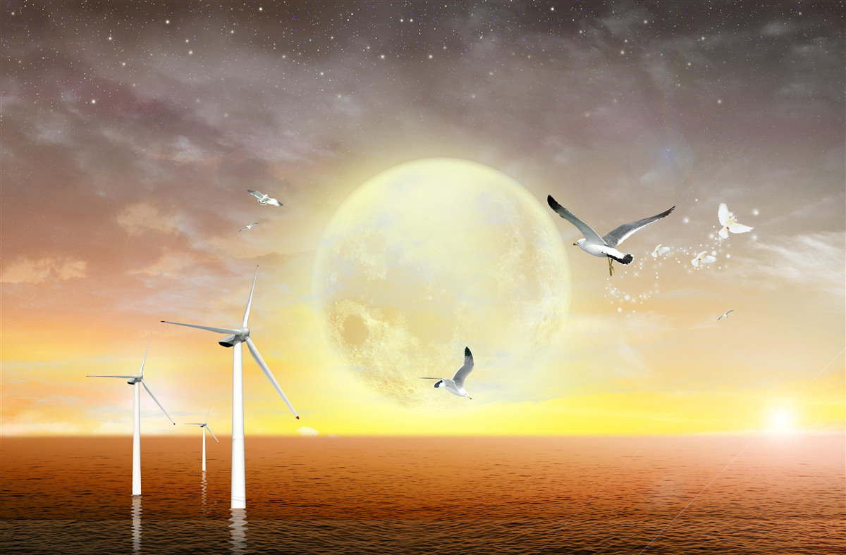 Фотошпалери захід сонця над морем супроводжується криками чайок