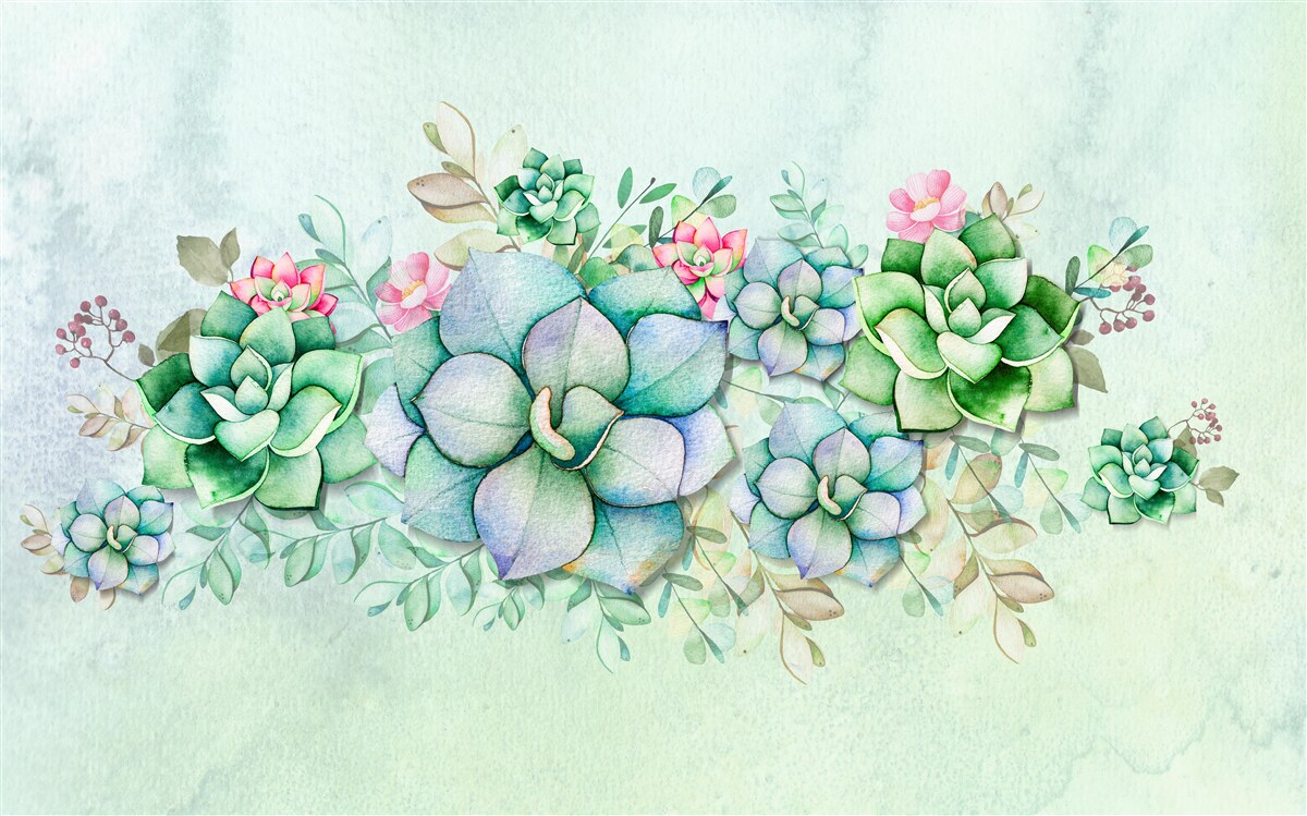 Фотошпалери набір зелених сукулентів