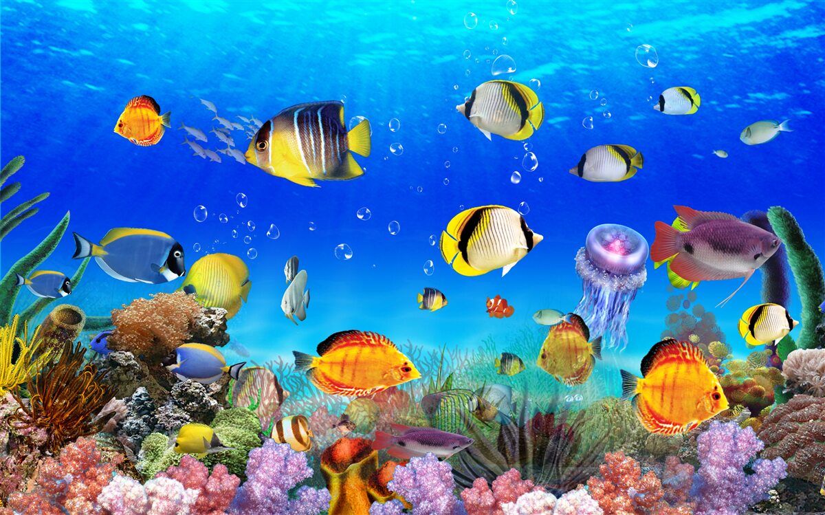 Фотошпалери різнокольорові рибки в блакитній воді