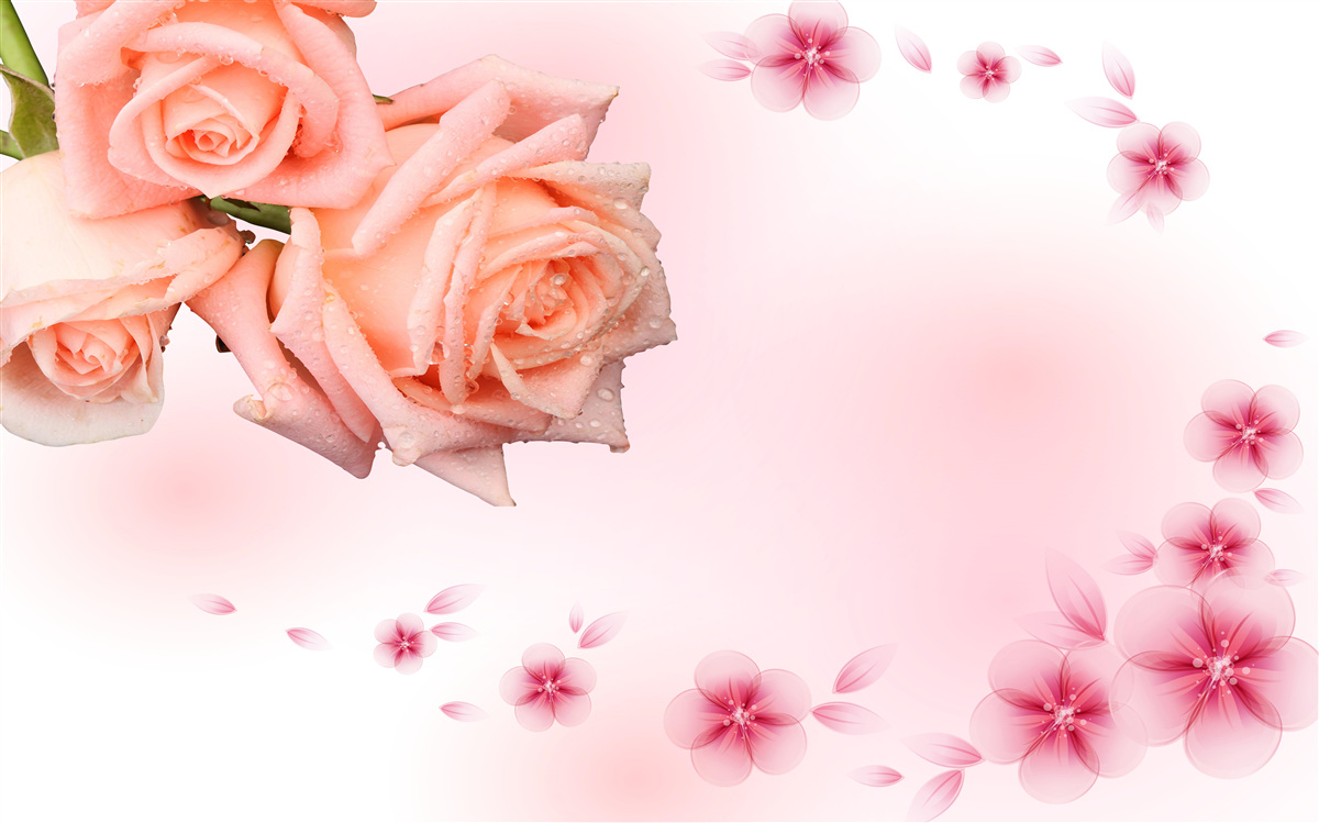 Фотошпалери рожеві квіти на тлі того ж кольору