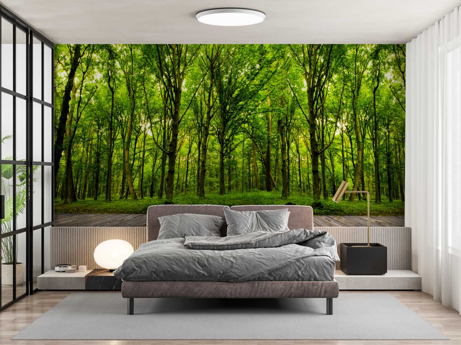 Фотошпалери зелений ліс, стрункий і багатий, осяяний сонячними променями