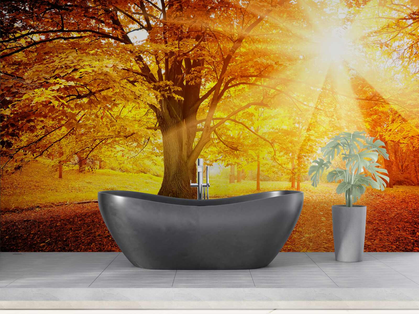 Фотошпалери яскраве світло сонця пробивається крізь осінню імлу лісу