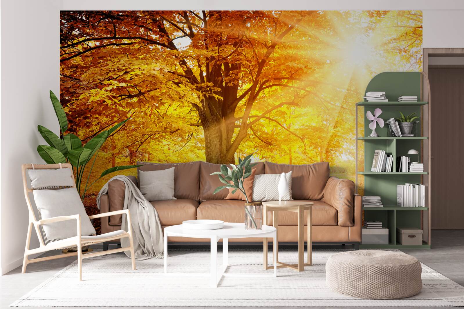 Фотошпалери яскраве світло сонця пробивається крізь осінню імлу лісу