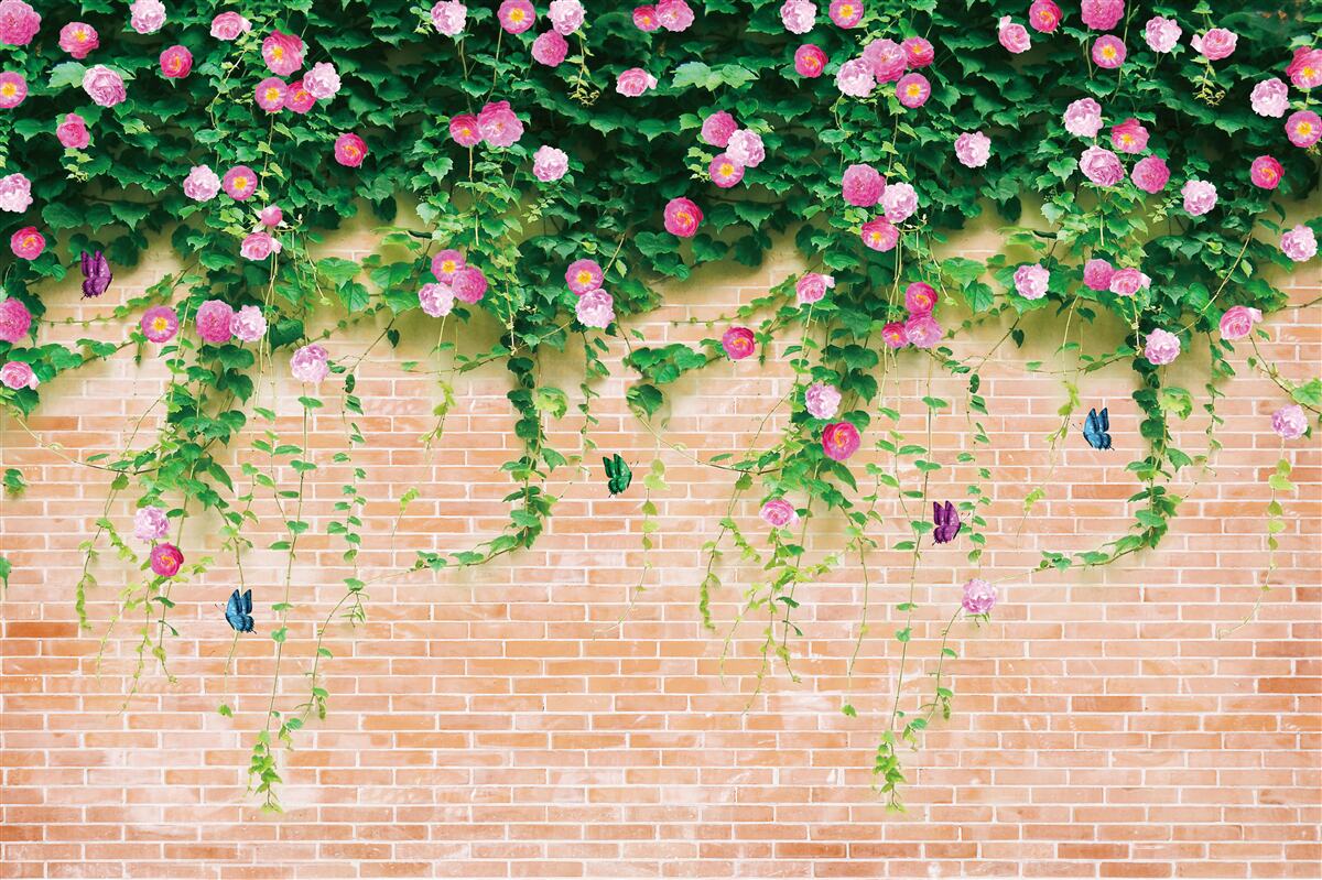 Фотошпалери ніжно-рожеві троянди на цегляній стіні