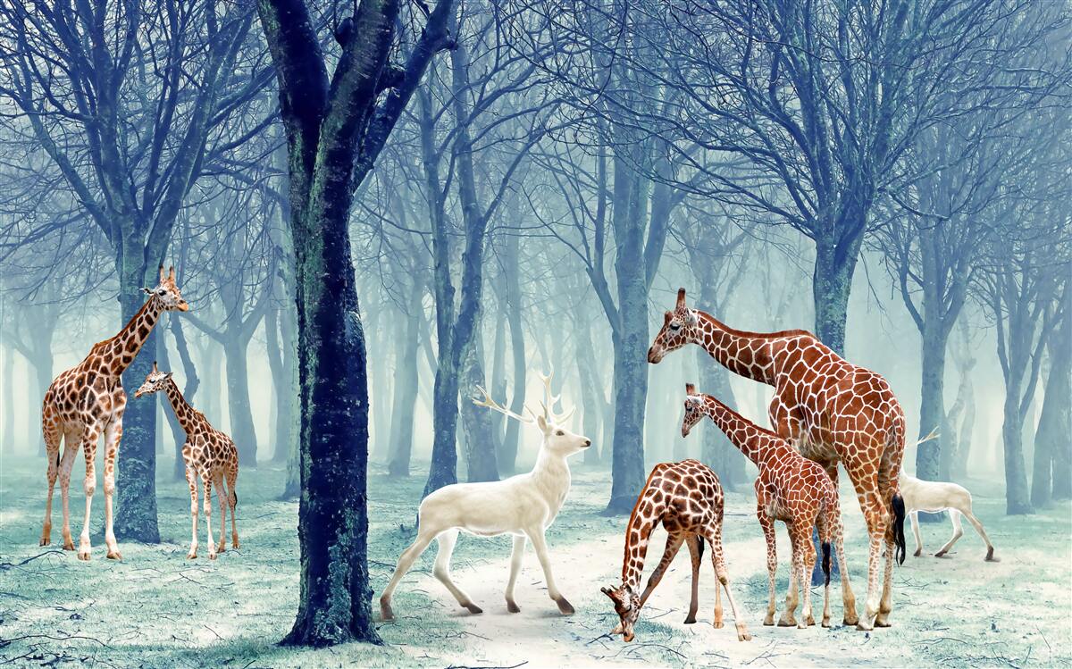 Фотошпалери У жирафів з'явився новий друг