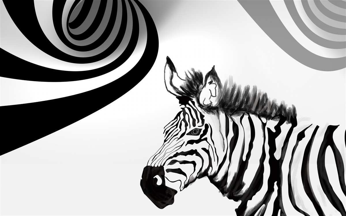 Фотошпалери чорно-біла зебра в стані очікування