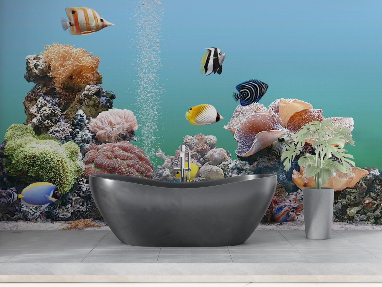 Фотошпалери краса коралових бар'єрів