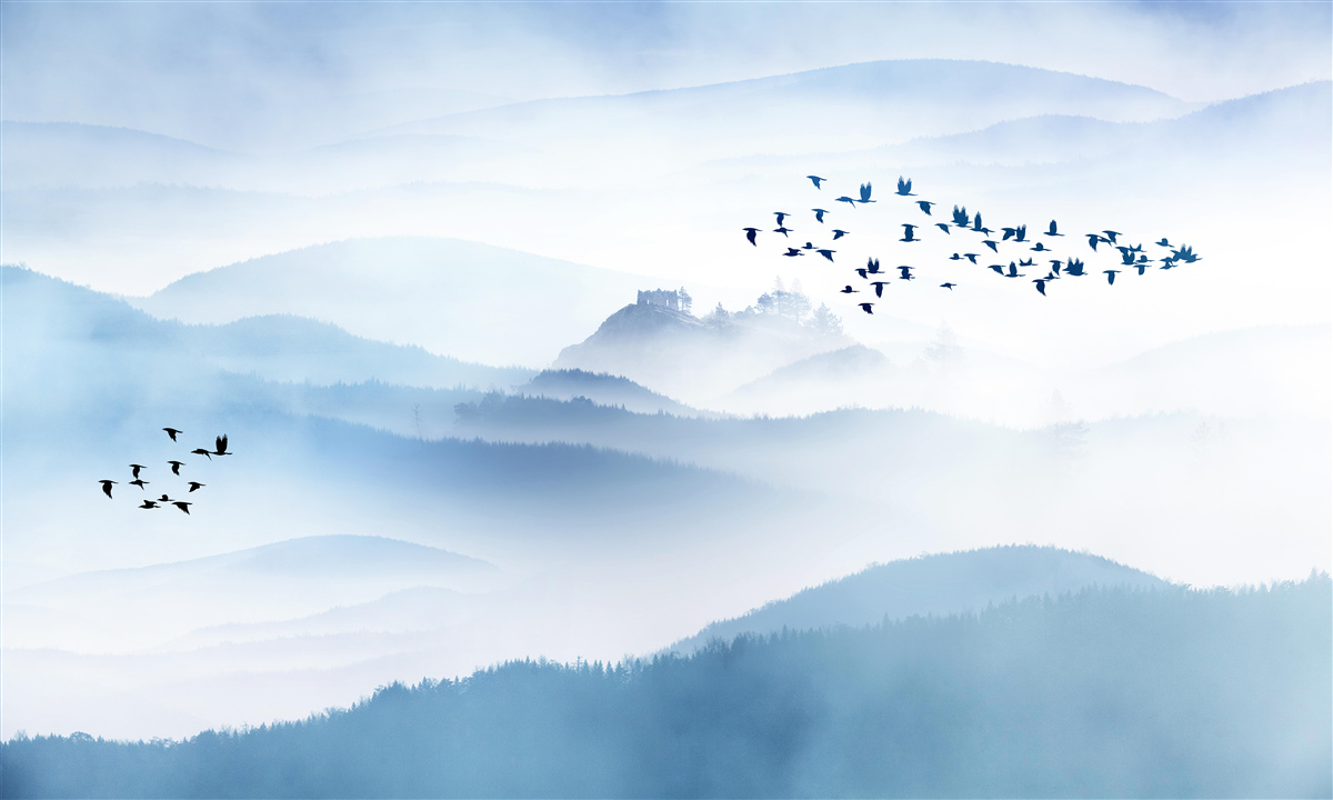 Фотошпалери зграї птахів здіймаються над туманними вершинами