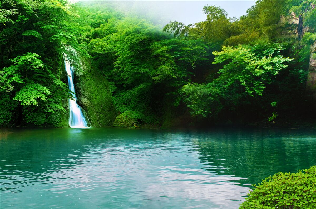 Фотошпалери лісовий водоспад, що стікає з високої гори