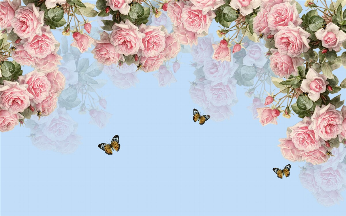 Фотошпалери рожеві троянди на блакитному тлі