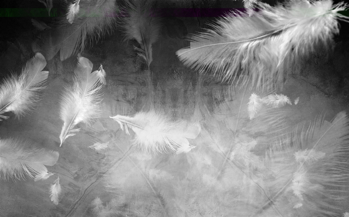 Фотошпалери сіре тло прикрашене білим пір'ям