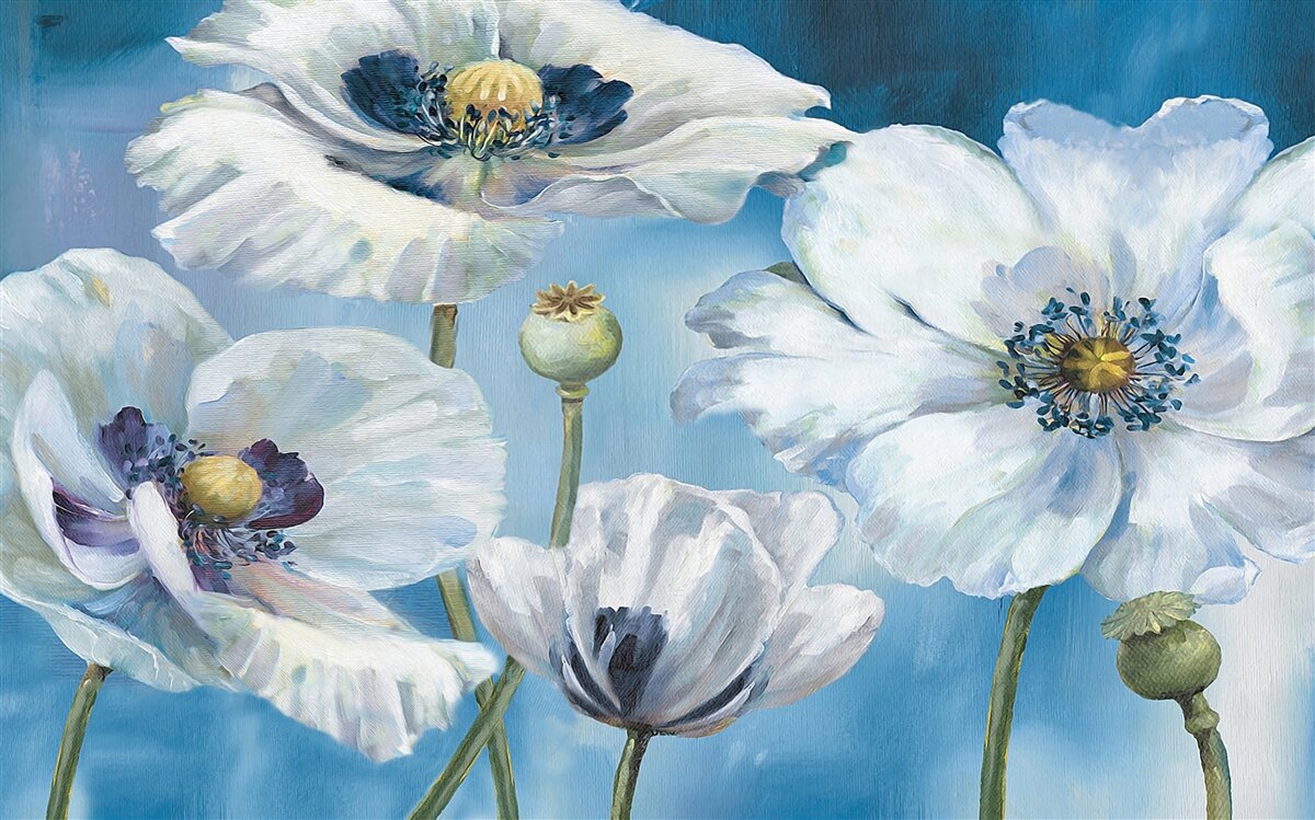 Фотошпалери величезні білі маки