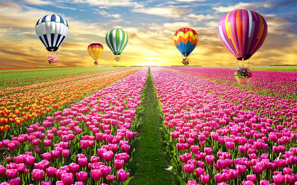 Фотошпалери кулі, що здіймаються над полем тюльпанів
