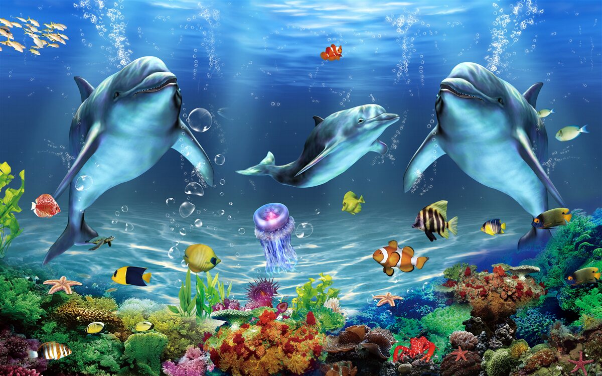 Фотошпалери водні мешканці - дельфіни