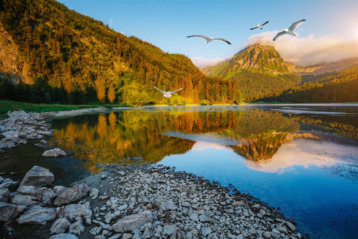 Фотошпалери птахи, що літають над гірськими водами