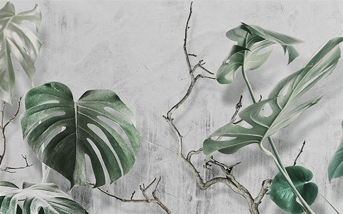 Фотошпалери зелене листя монстери велике