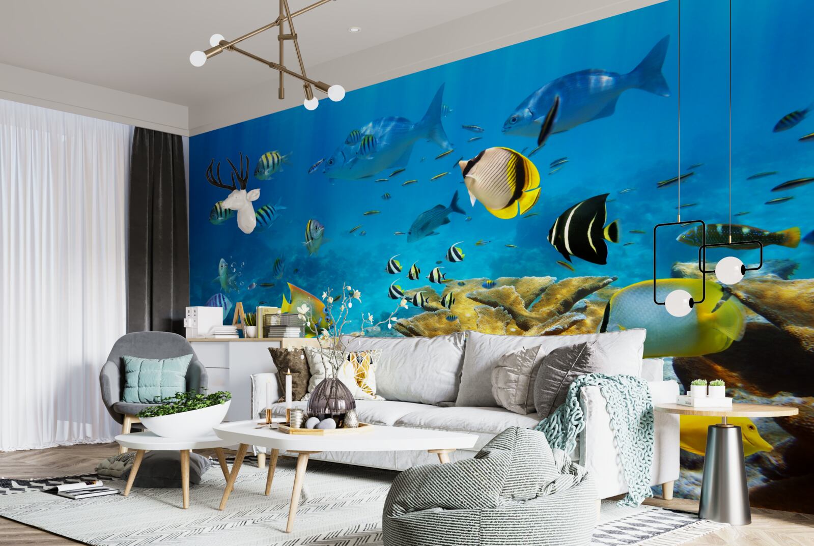 Фотошпалери милі морські істоти