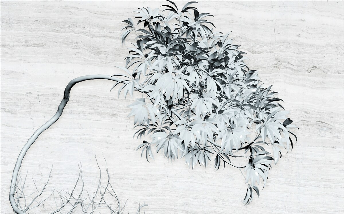 Фотошпалери дерево, що самотньо стоїть на вітрі