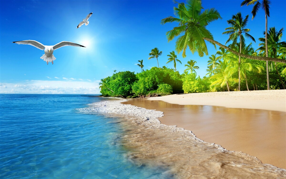 Фотошпалери ідилічне розташування на березі океану