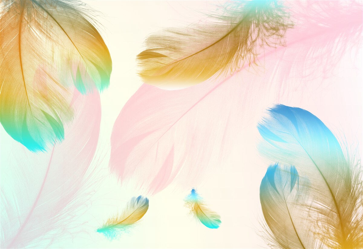 Фотошпалери пастельне пір'я