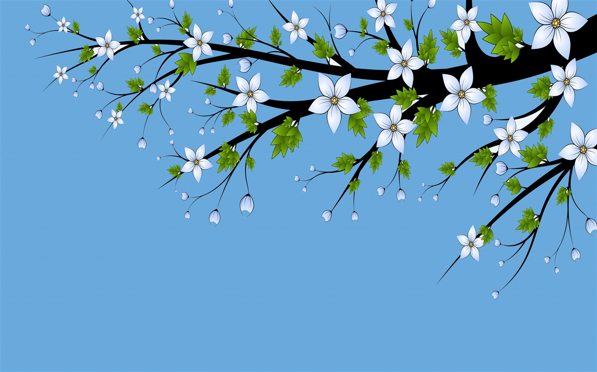 Фотошпалери гілка, на якій розкриваються білі бруньки