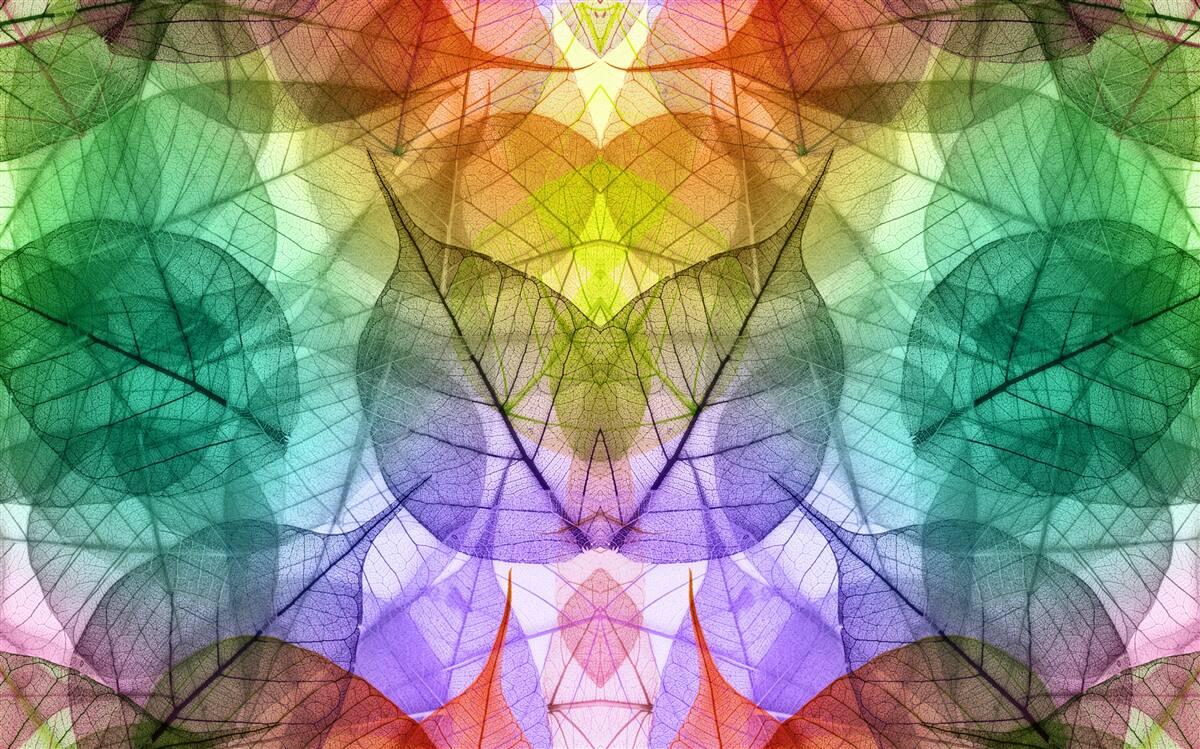 Фотошпалери листя переливається всіма відтінками веселки