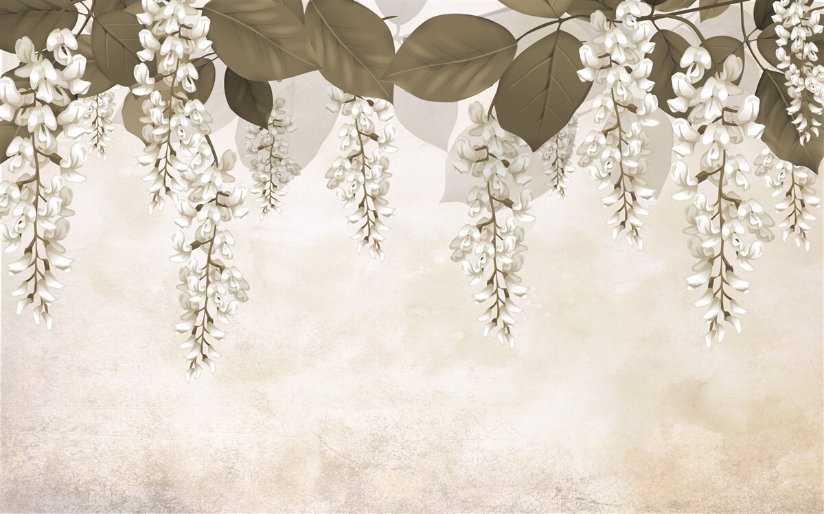 Фотошпалери акація з білими квітами