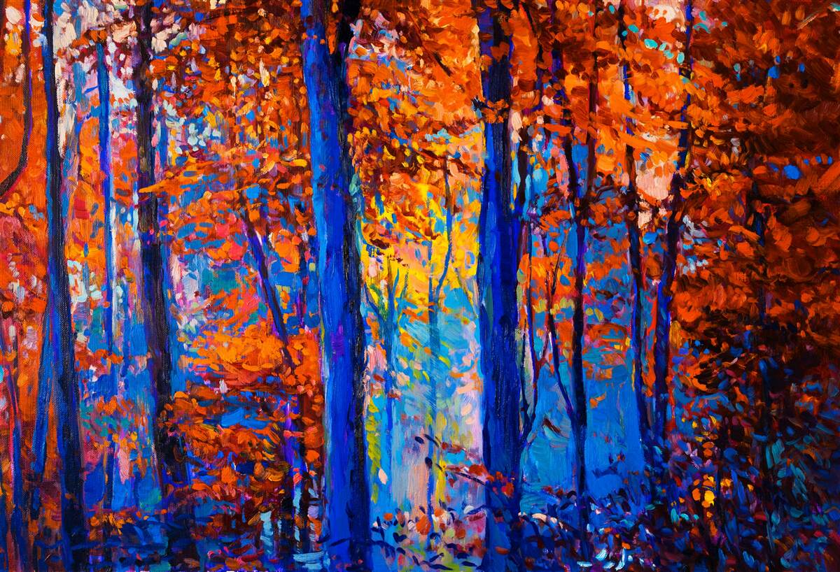 Фотошпалери контраст кольорів у лісі восени