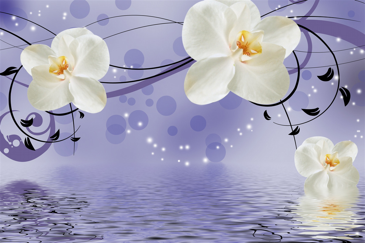 Фотошпалери біля ставка - великі білосніжні квіти