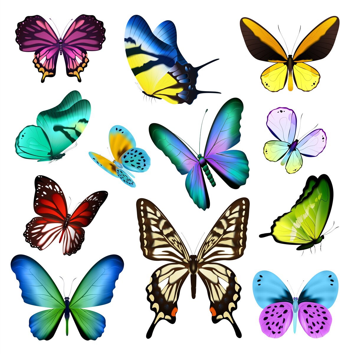 Фотошпалери акварель із зображенням скандинавського листя