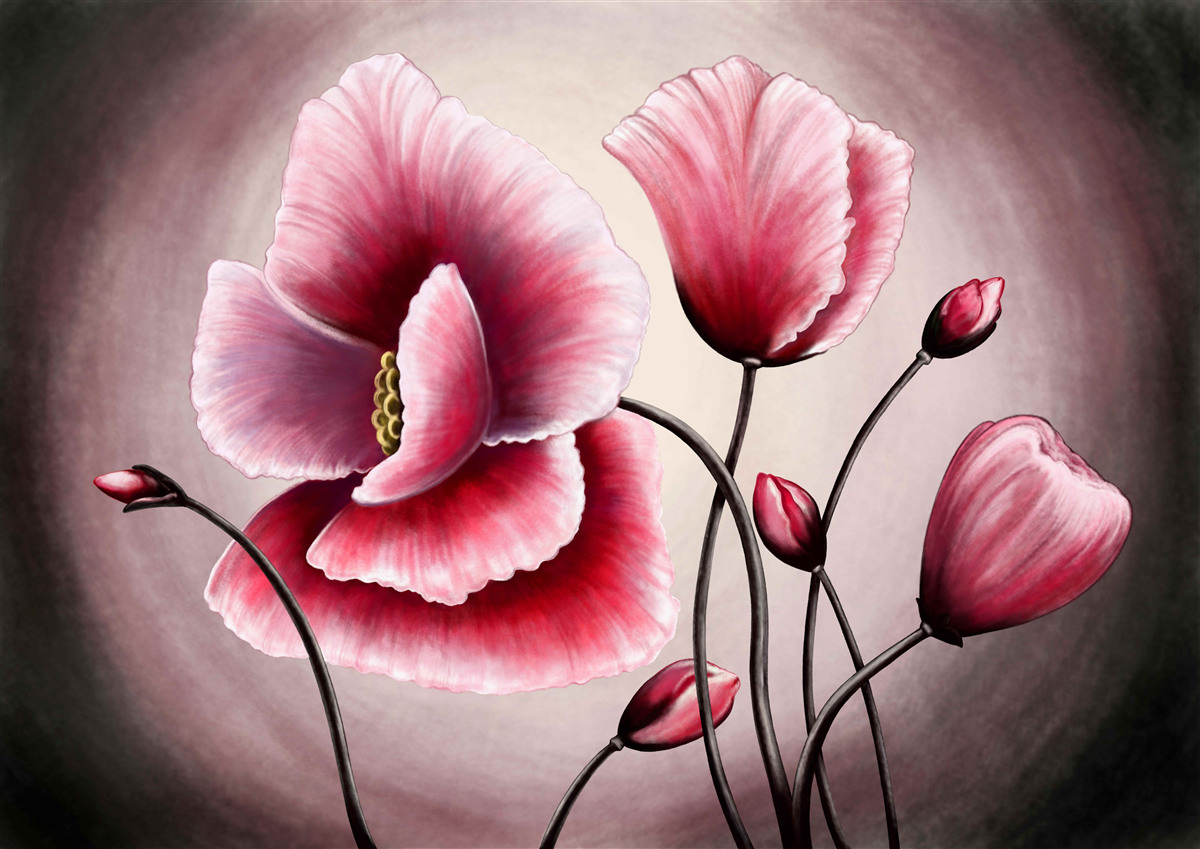 Фотошпалери мак цвіте рожевим кольором