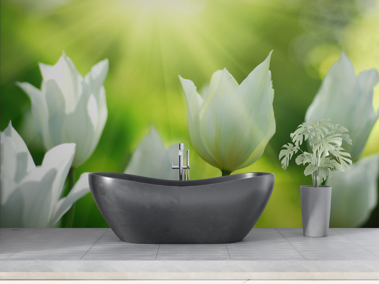 Фотошпалери Білосніжні тюльпани під променями сонця