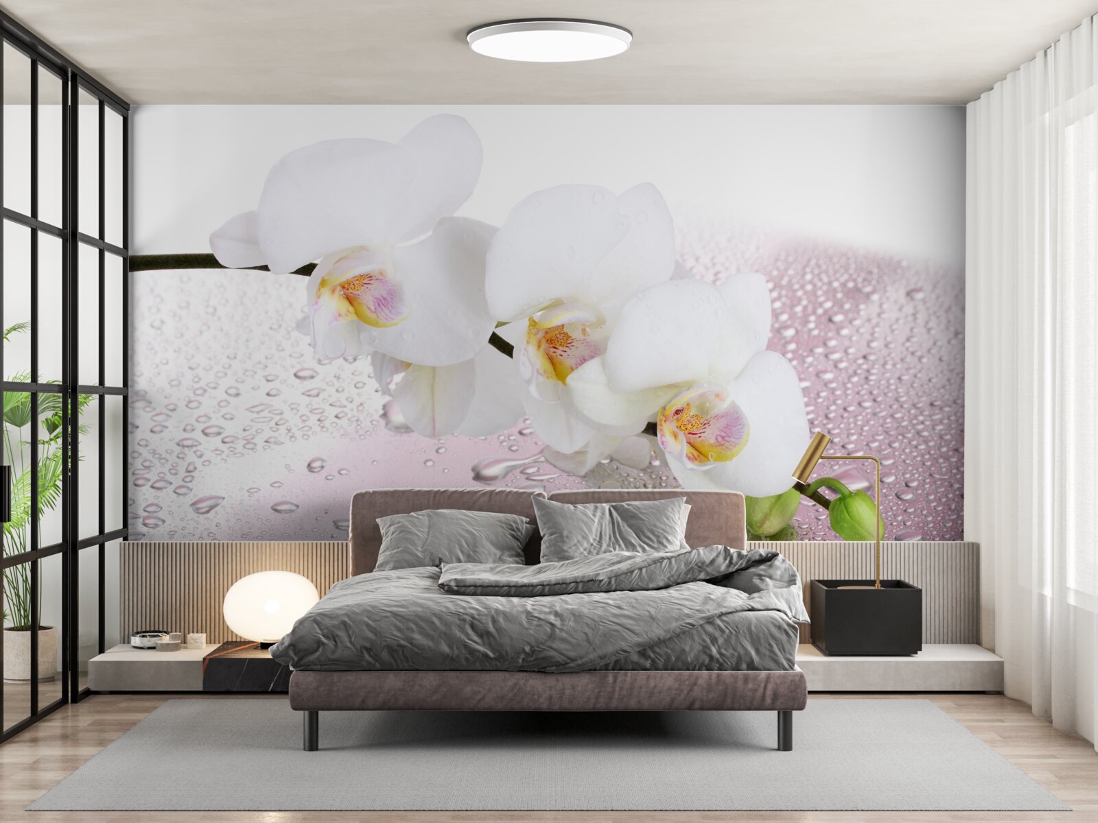 Фотошпалери мокра гілка білої орхідеї, прикрашена краплями води