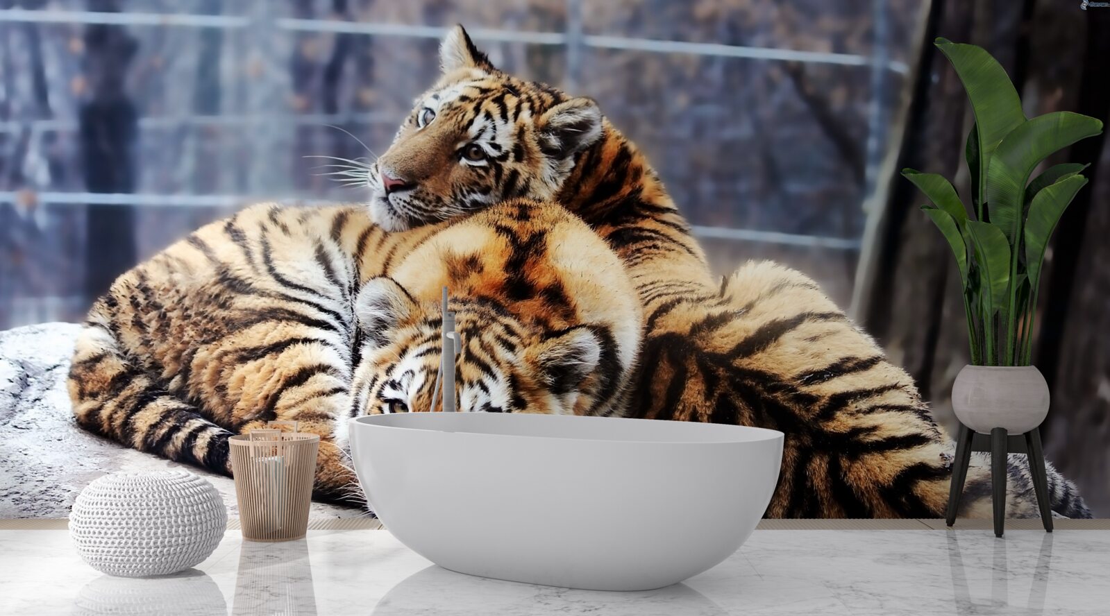 Фотошпалери Сплячі тигри мають красу