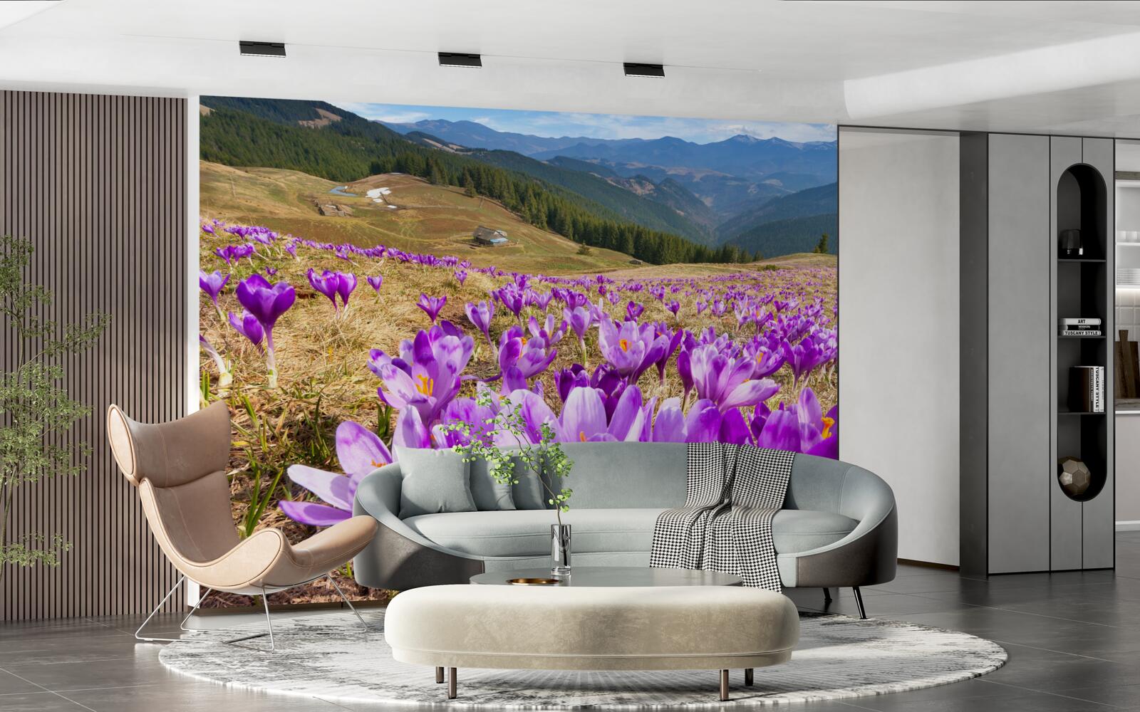 Фотошпалери гірські крокуси фіолетові