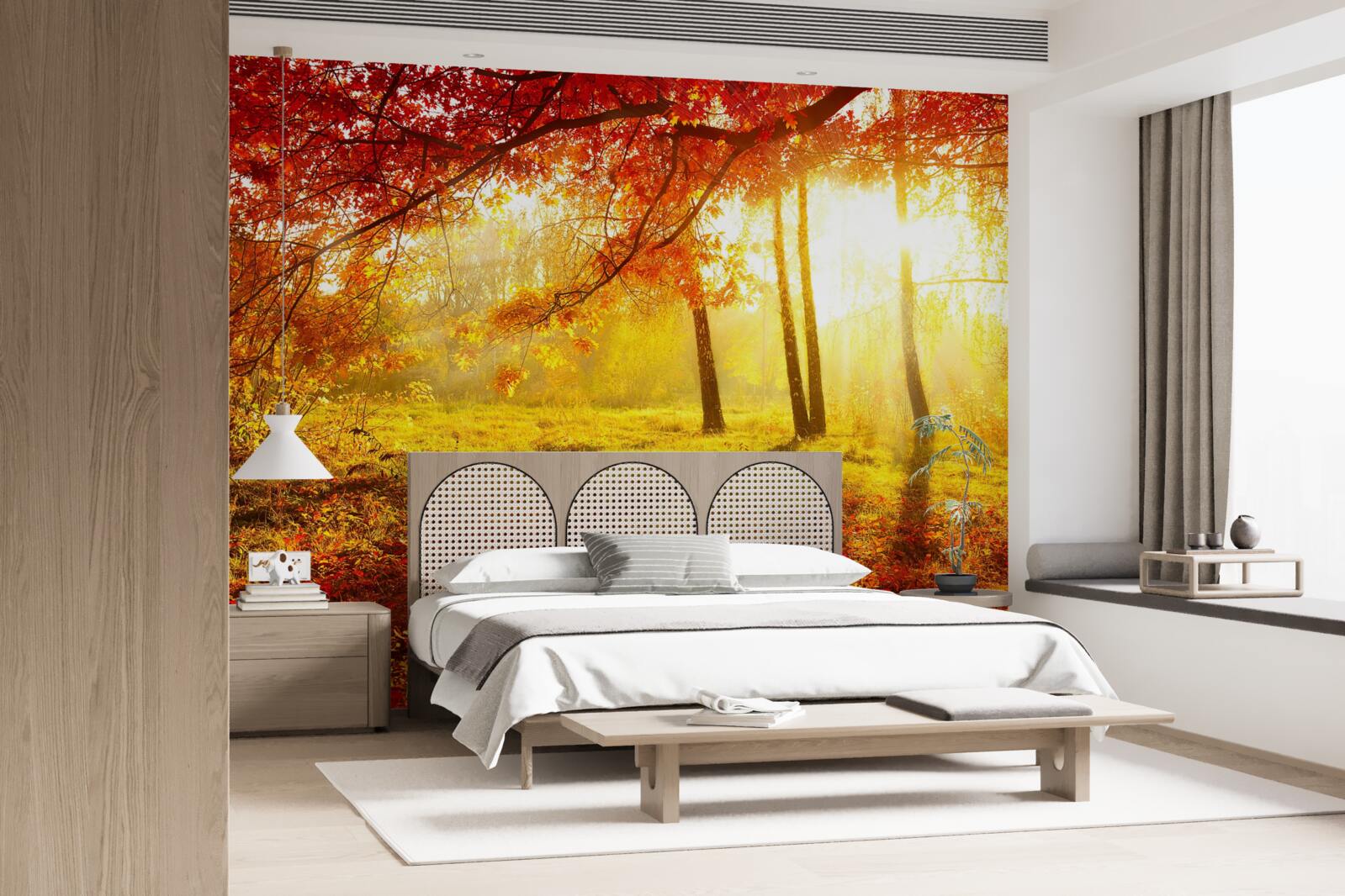 Фотошпалери крізь осінній туман пробиваються холодні промені сонця