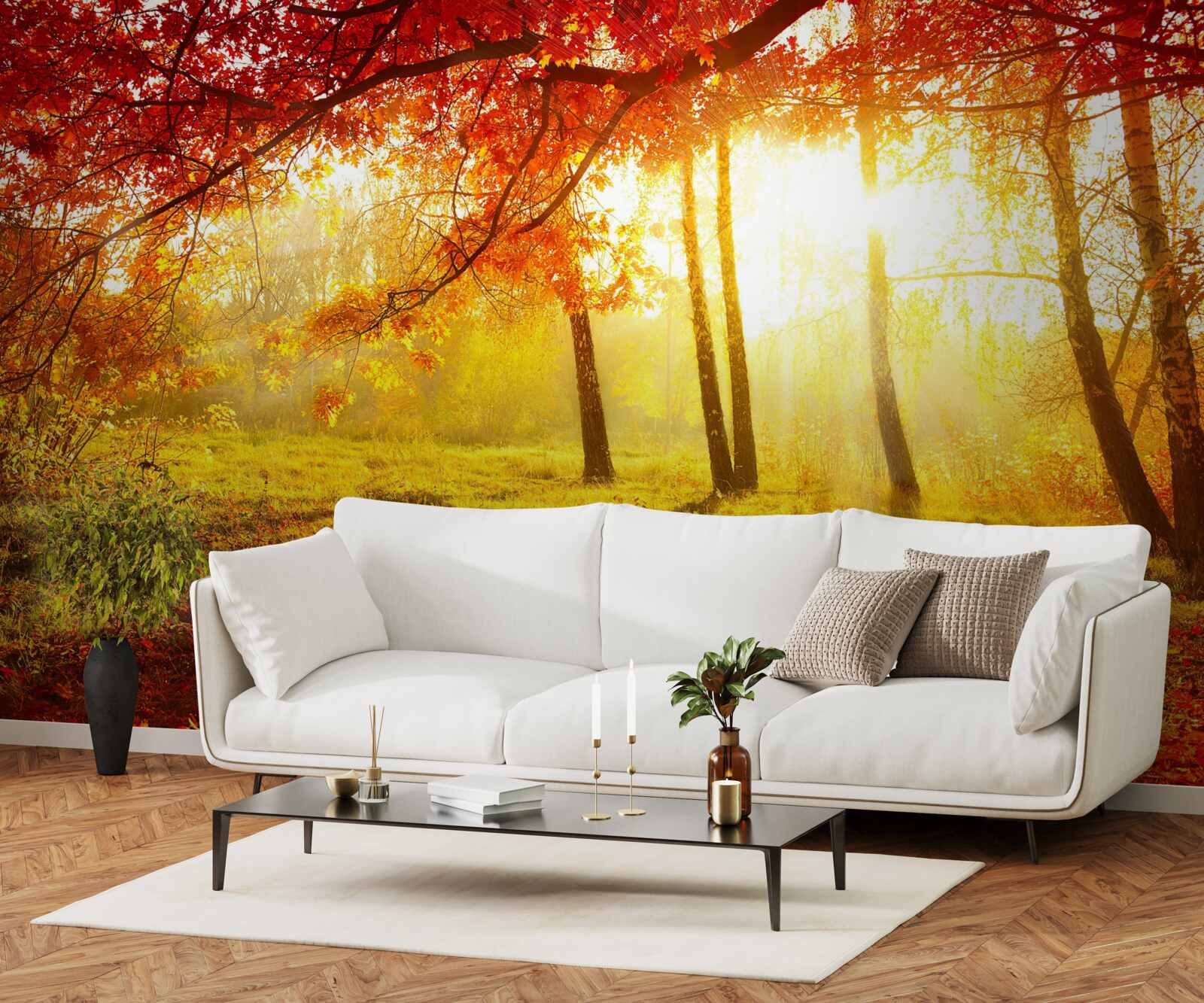 Фотошпалери крізь осінній туман пробиваються холодні промені сонця